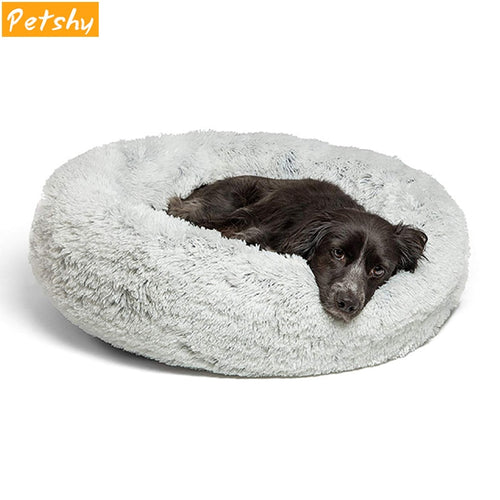 Petshy Cute Soft Cat Bed Sofa Autumn Winter Warm Comfortable
