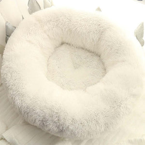 Petshy Cute Soft Cat Bed Sofa Autumn Winter Warm Comfortable