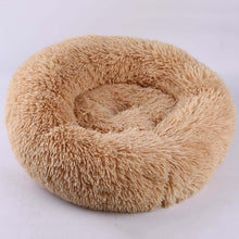 Load image into Gallery viewer, Petshy Cute Soft Cat Bed Sofa Autumn Winter Warm Comfortable